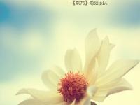 ����ѩ���ר��