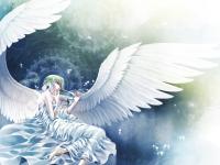 ������ȵ�ר��