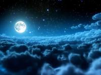 ���뾮����Ҷ��ר��