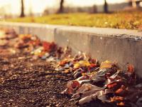 ����Captain��ר��