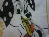 ����������ר��