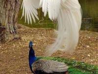 进入洛水爱上苍穹的专栏