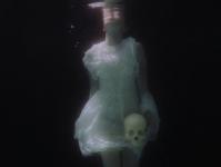 ������ͩ��ר��