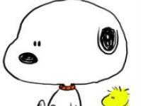 ������԰���ӵ�ר��