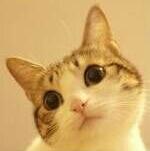 ����׵Ե�ר��