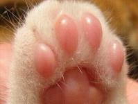 �������ǳ���ר��