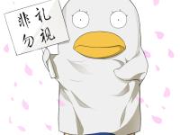 ����ʮ���ר��