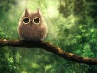 ����巳����ר��