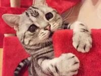 ��������껪��ר��