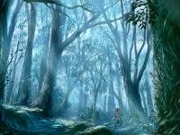 ��������ר��