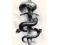 ������ɱ��ר��