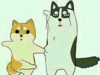 ����պ���ר��