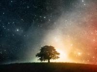 ����չ�ħ����ר��