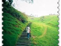 ��������ר��