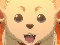 �������е�ר��