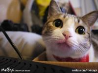 進入七幺兒的專欄