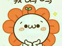 进入洛书233的专栏