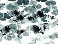 ����������ר��