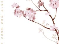 ���밢ͩľ��ר��