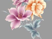 ����ľب��ר��