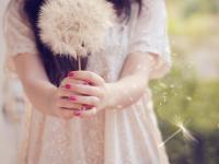 ������ī����ר��