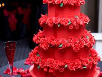 ������̬������ר��