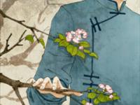 ������װ���ר��