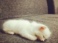 ����ڿʲ���ר��