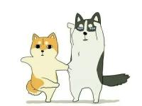 ����˶���ר��