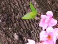 ����д���˵�ר��