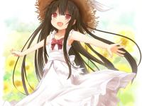 ���뵤���ӵ�ר��