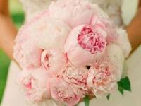 ���밢�۰��۵�СԲ�ӵ�ר��