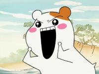 ���벻�¿�ˮ�̵�ר��