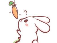 ������ƷС����ר��