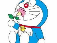 ���������ר��