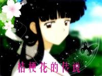 ���������ŵ��ר��