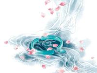 ���붬������ר��