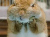 进入陌巷的专栏