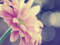 ������һ�ӵ�ר��