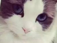 ���볯��ҹ�t��ר��