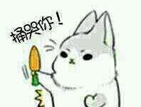 ���밲������ר��