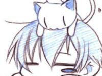 ����������ר��