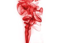 �������¾ŵ�ר��