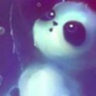 �����山��ר��