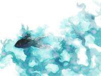 ����ׯ�ǵ�ר��