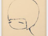 ��������ӵ�ר��