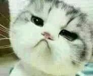 �����Ǳ��˵Ĺ�����ר��