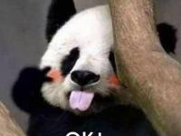 ����ɫ���ר��