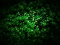 �����˼��޶ɵ�ר��