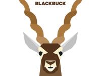 ���������̵�ר��